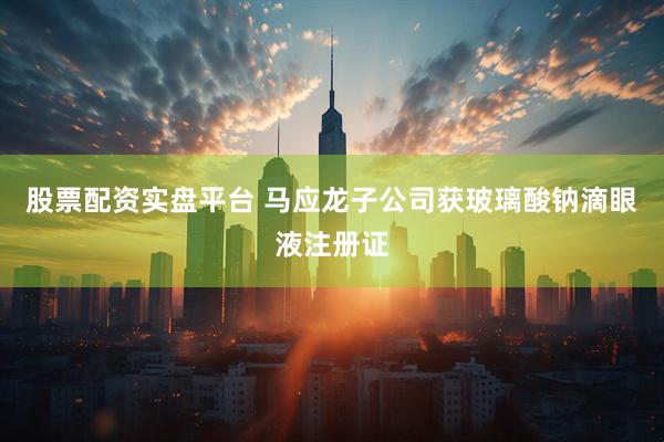 股票配资实盘平台 马应龙子公司获玻璃酸钠滴眼液注册证