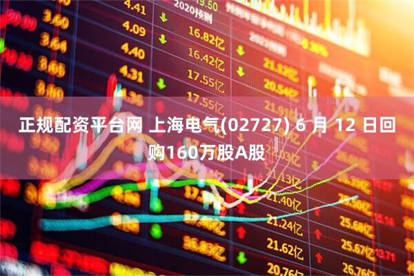 正规配资平台网 上海电气(02727) 6 月 12 日回购160万股A股
