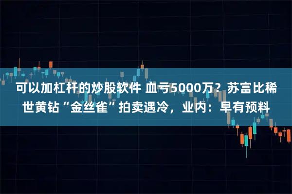 可以加杠杆的炒股软件 血亏5000万？苏富比稀世黄钻“金丝雀”拍卖遇冷，业内：早有预料